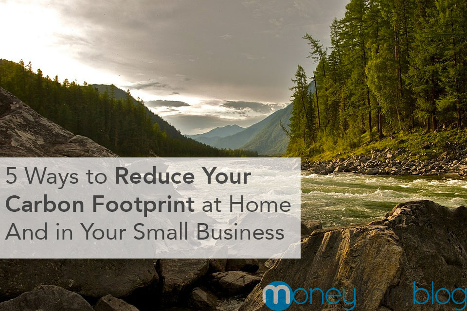 Image showcasing 5 Ways to Reduce Your Carbon Footprint at Home and in Your Small ...