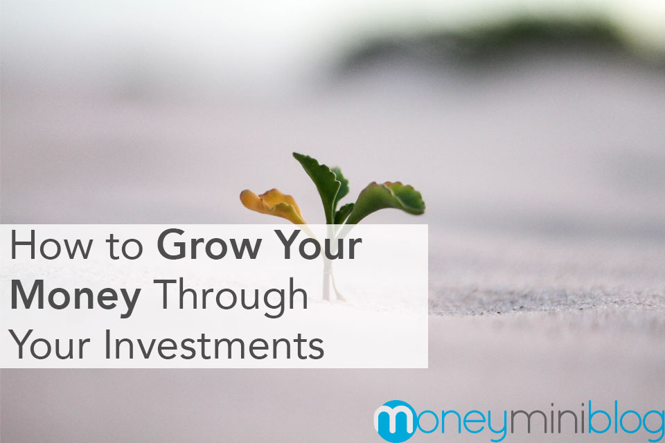 How to Grow Your Money Through Your Investments